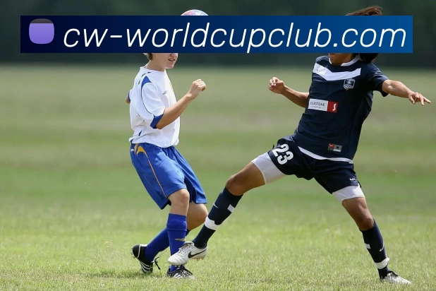 世界杯官方线上APP 高清赛事图